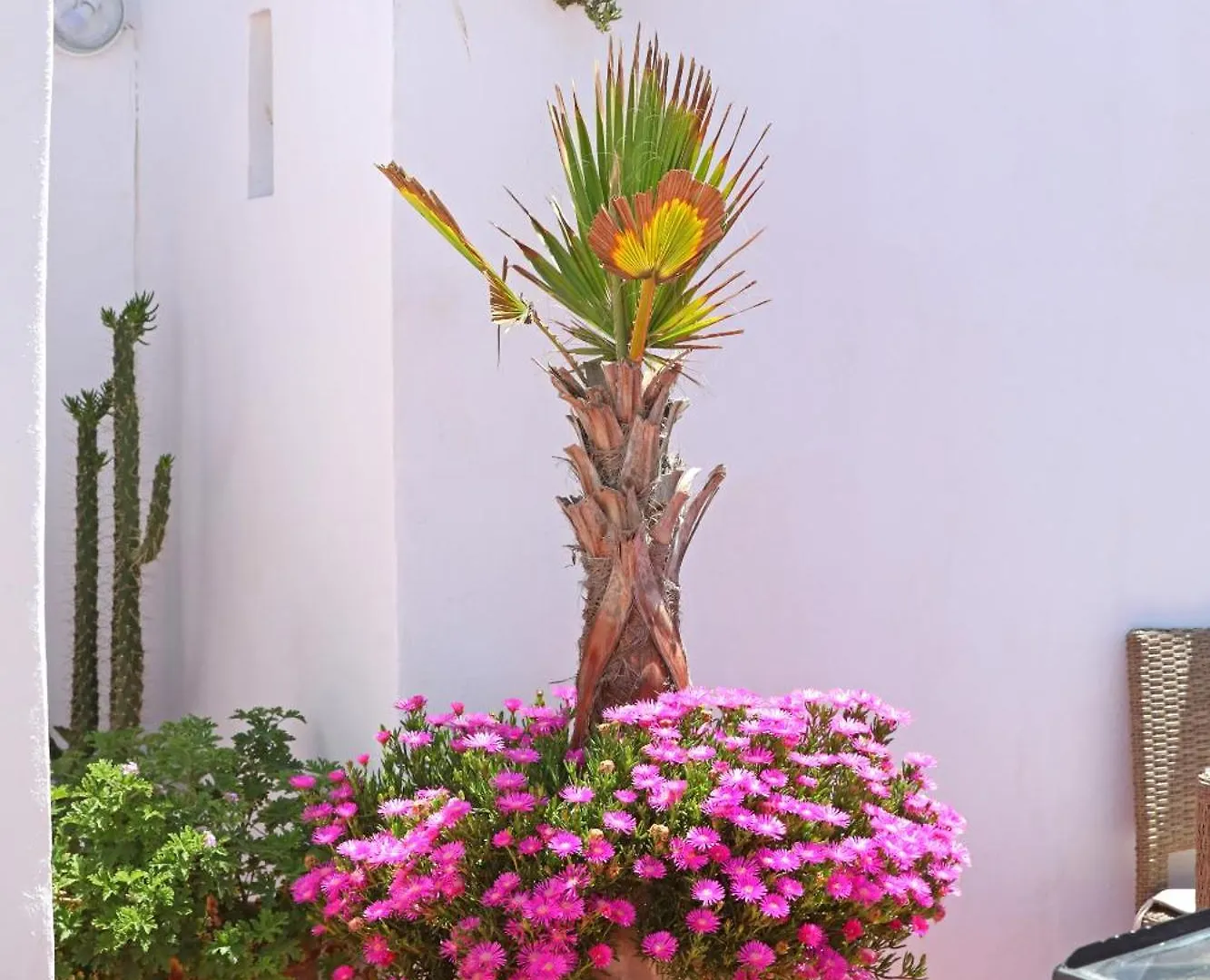 Riad Villa Garance エッサウィラ 3*,